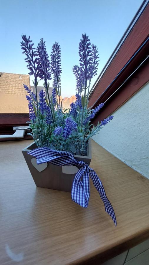 Ferienwohnung Weser Minden  Kültér fotó